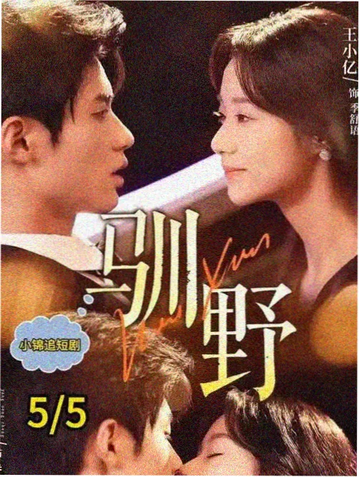 长尾口径第二名 县城夜班车 标本封面